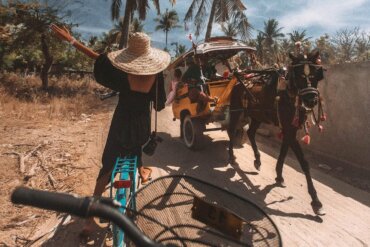 nelegální turistické služby
