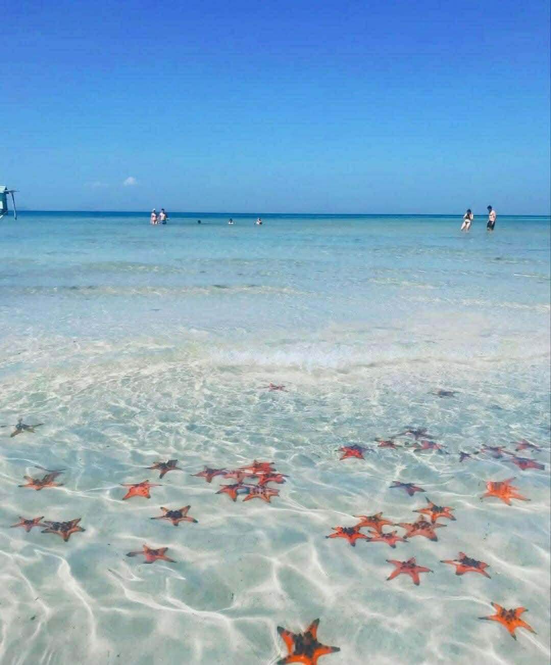 hvězdicová pláž Phu Quoc moře Vietnam