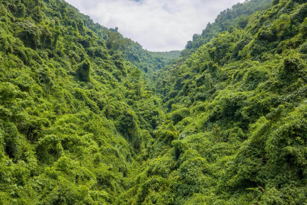 Údolí uprostřed strmých kopců pokrytých neprostupnou tropickou vegetací