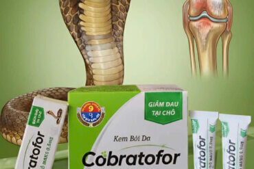 Vietnamská mast Cobratofor s kobřím jedem a ilustrace bolavého kloubu